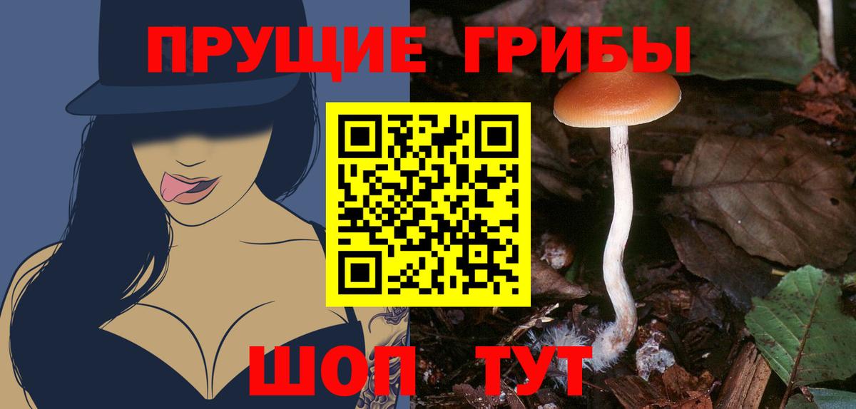 Псилоцибиновые грибы Psilocybe Первоуральск