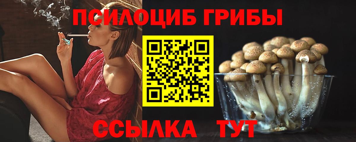Галлюциногенные грибы прущие грибы  Вход с VPN  Галлюциногенные грибы GOLDEN TEACHER  Первоуральск 